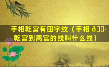 手相乾宫有田字纹（手相 🕷 乾宫到离宫的线叫什么线）